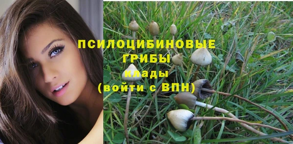 СК Алексеевка