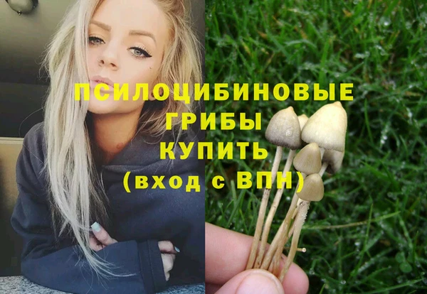 крисы Алексин