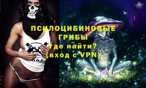 СК Алексеевка