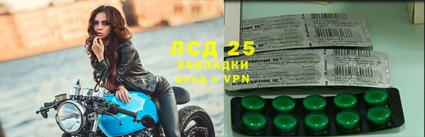 spice Алзамай