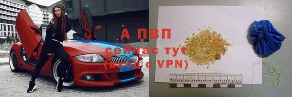 крисы Алексин