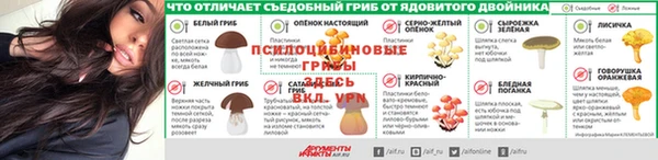 spice Алзамай