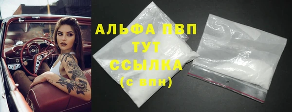 крисы Алексин