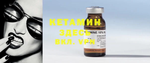 крисы Алексин