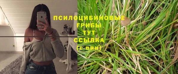 spice Алзамай