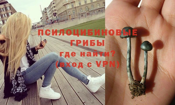 СК Алексеевка