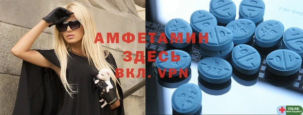 крисы Алексин