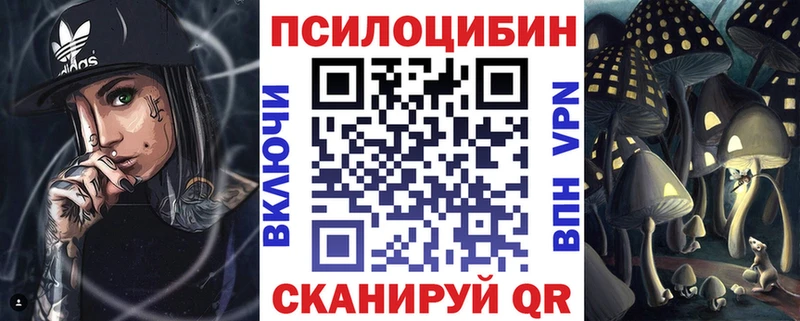 купить   Сасово  Псилоцибиновые грибы Cubensis 